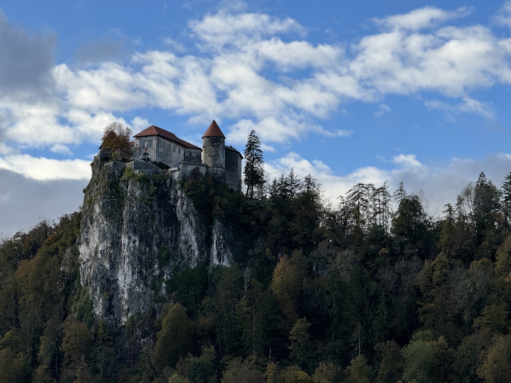 a castle on top of a mountain surrounded by trees