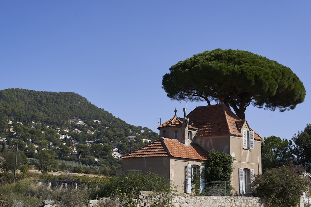 a house with a tree on top of it