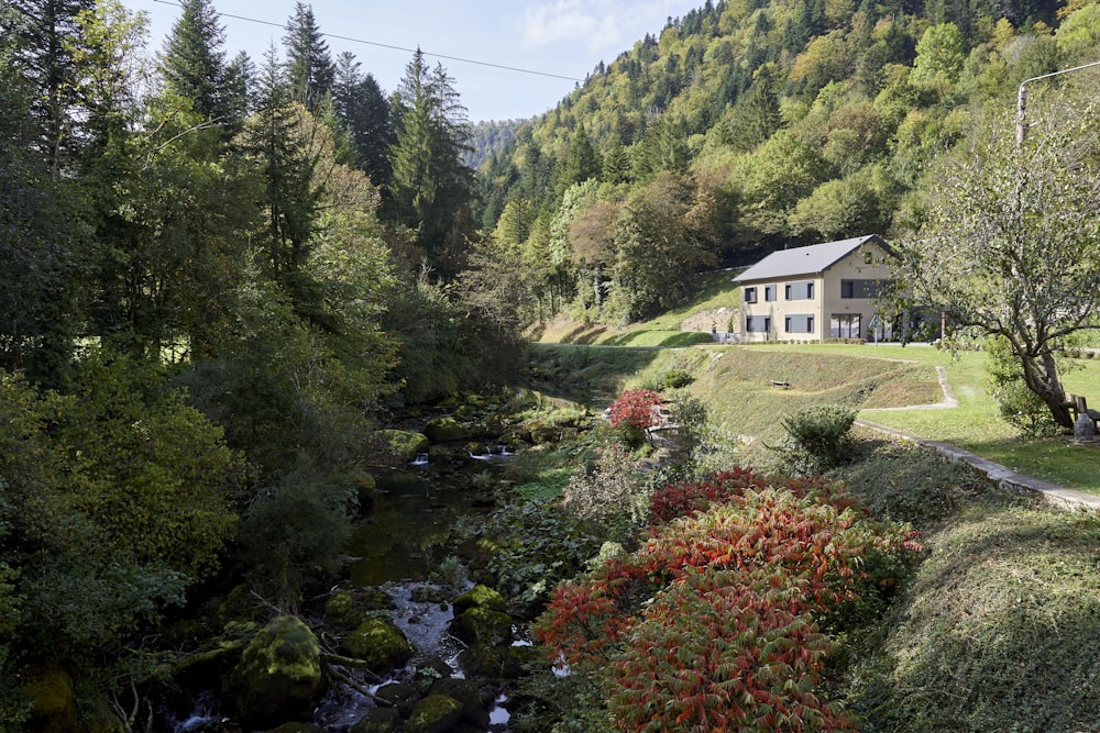 a house sitting on top of a lush green hillside