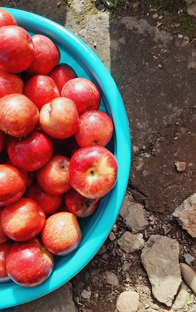 Fresh Red Apples