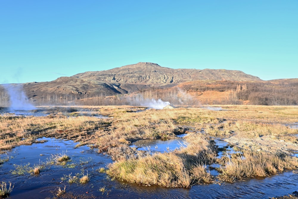 a stream running through a dry grass covered field