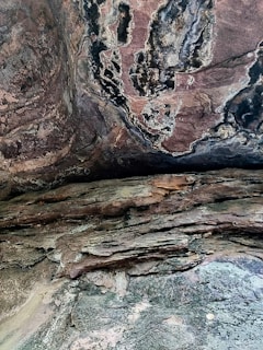 a close up of a rock with a tree in the background
