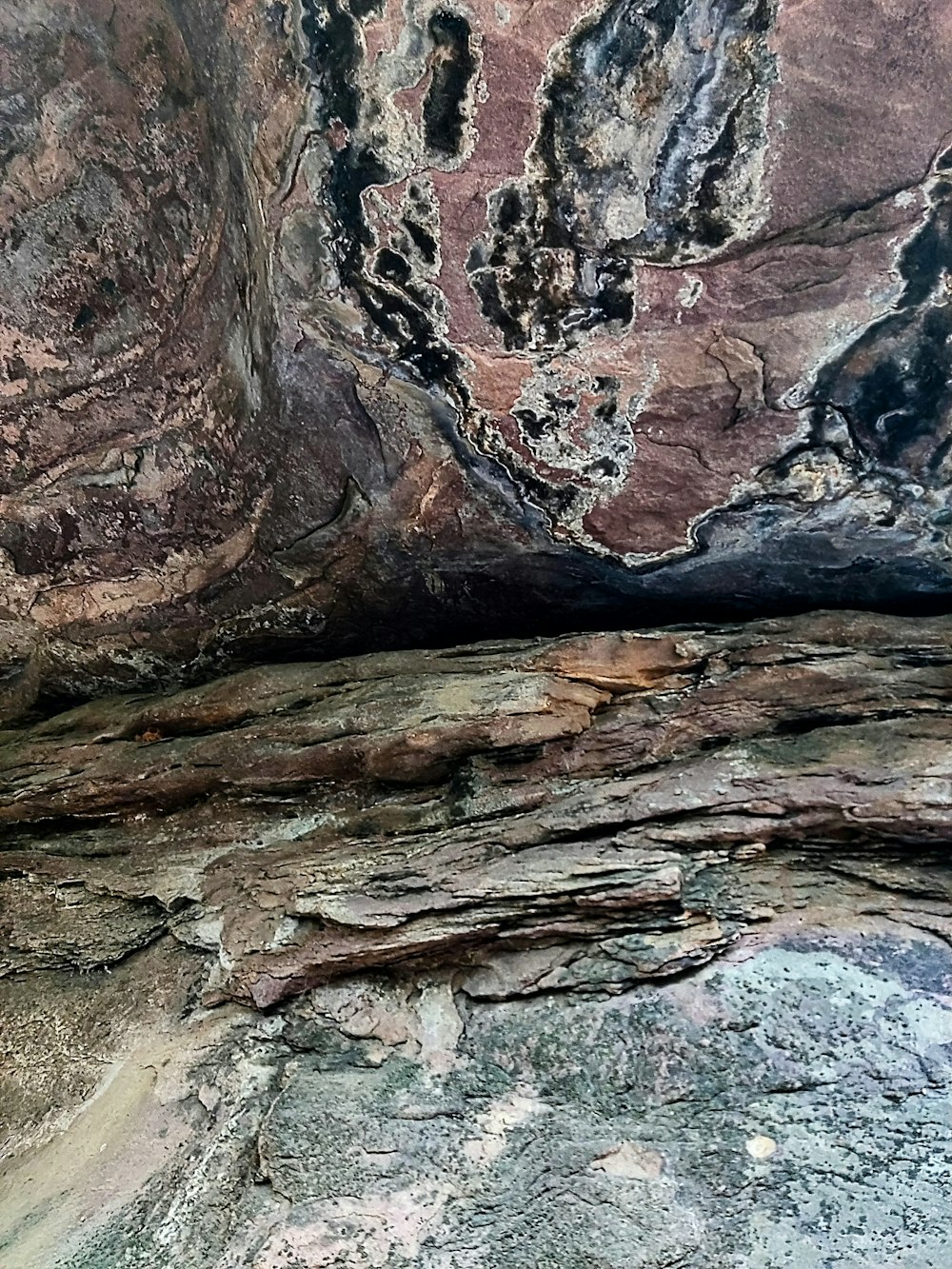 a close up of a rock with a tree in the background