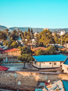 An inviting image of a vibrant neighborhood showcasing various houses and landscapes.