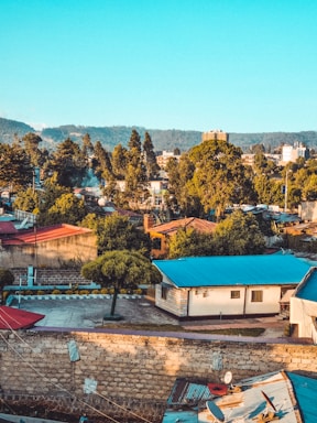 The image features a residential neighborhood with several houses that have brightly colored roofs. A small, neatly trimmed tree is noticeable in the foreground, and a stone wall runs along the bottom of the image. In the background, there is a lush landscape with tall trees and a distant view of hills under a clear blue sky.