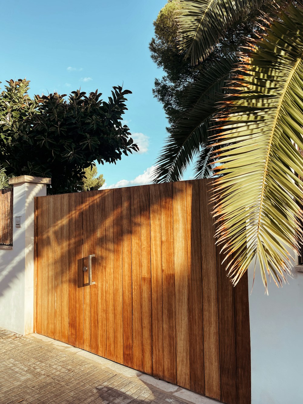 a wooden gate with a palm tree in the background