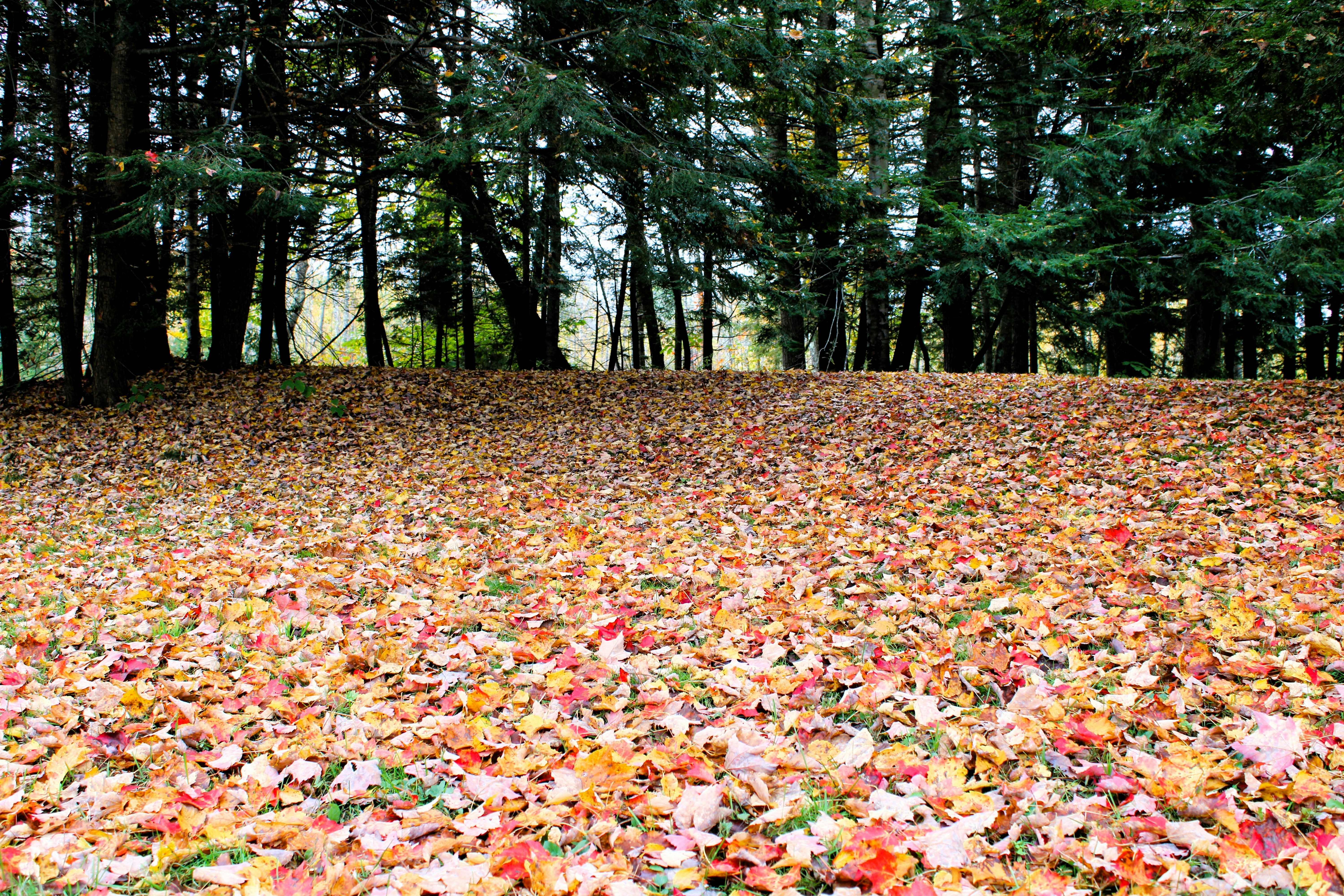 Photo by sbmcphotography