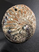 A close-up view of a textured seashell with iridescent and mottled surface patterns, displaying a mix of pearlescent hues intertwined with earthy tones.