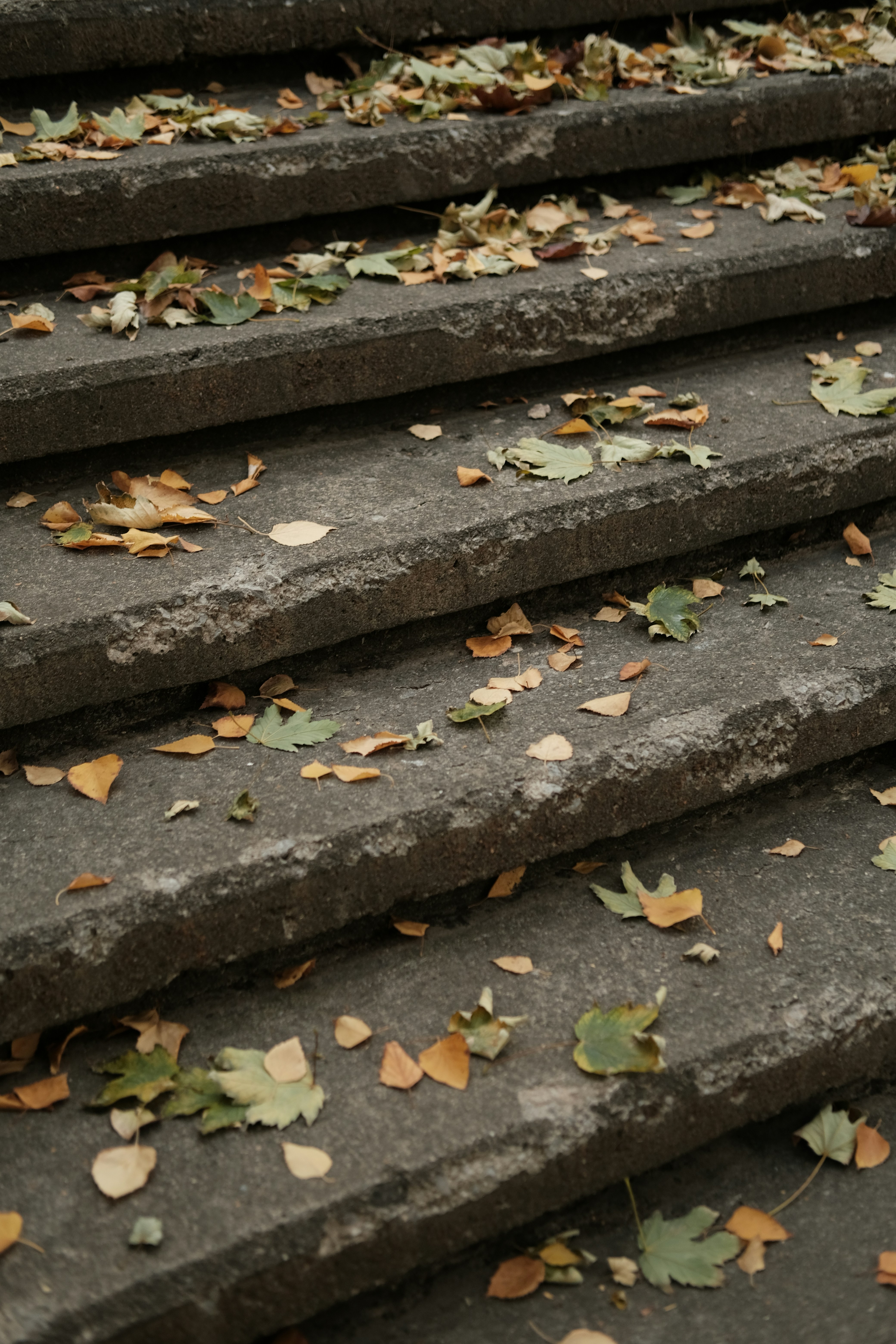 Photo by beyzaayurtkuran