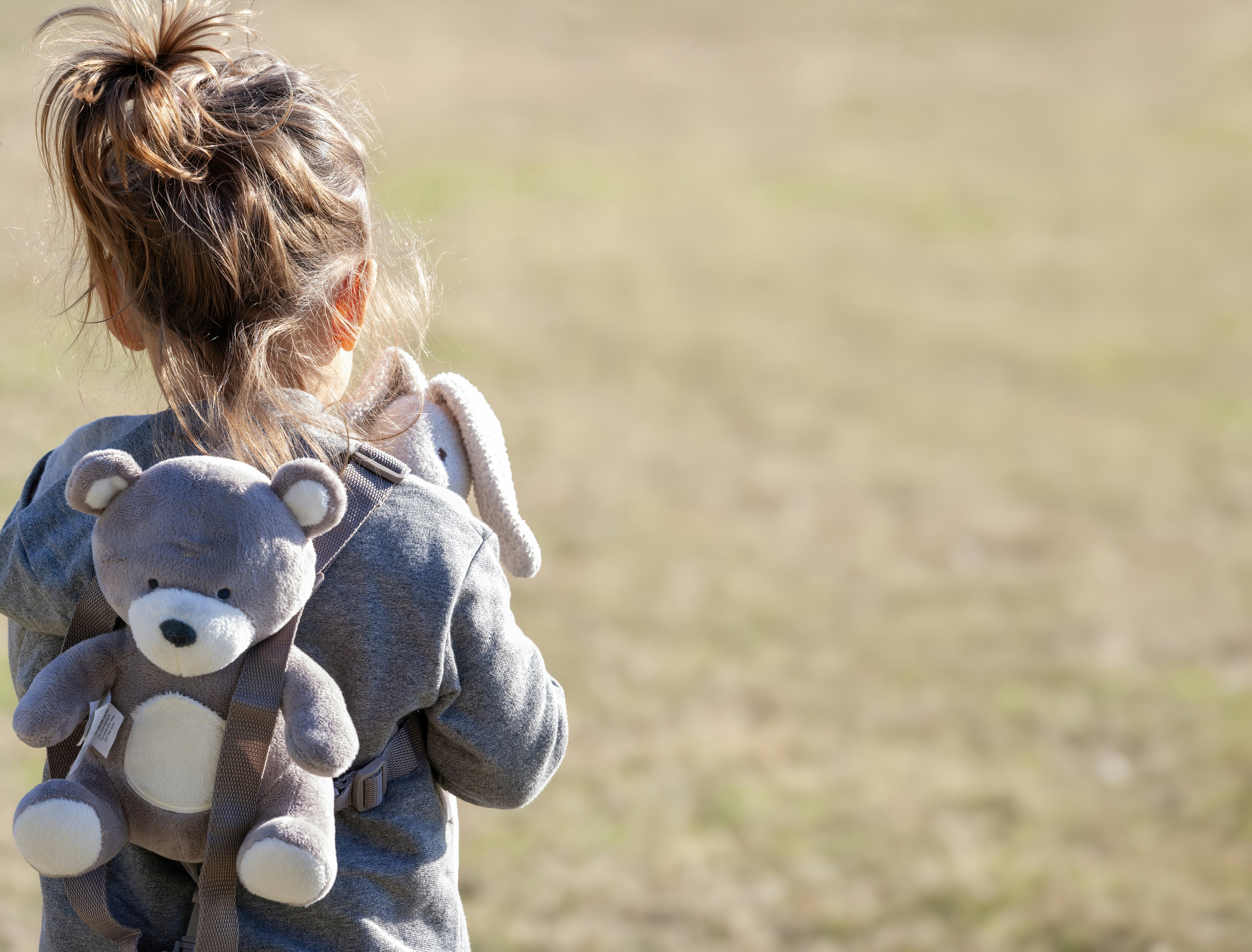una bambina che tiene un orsacchiotto in un campo