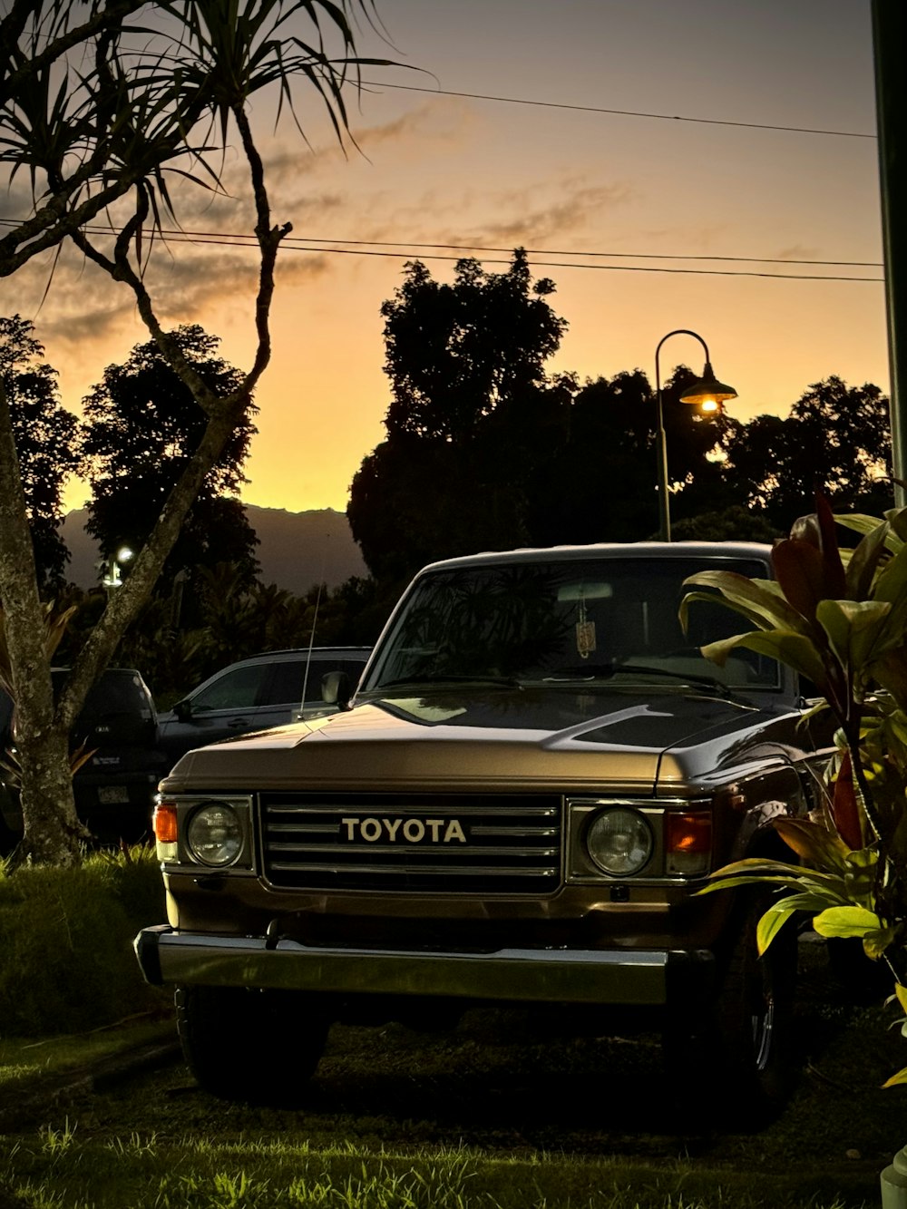a toyota truck is parked in the grass