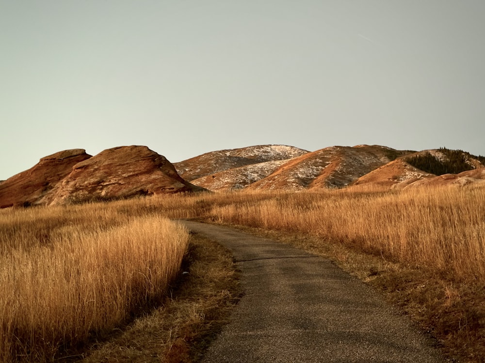 a dirt road in the middle of a field