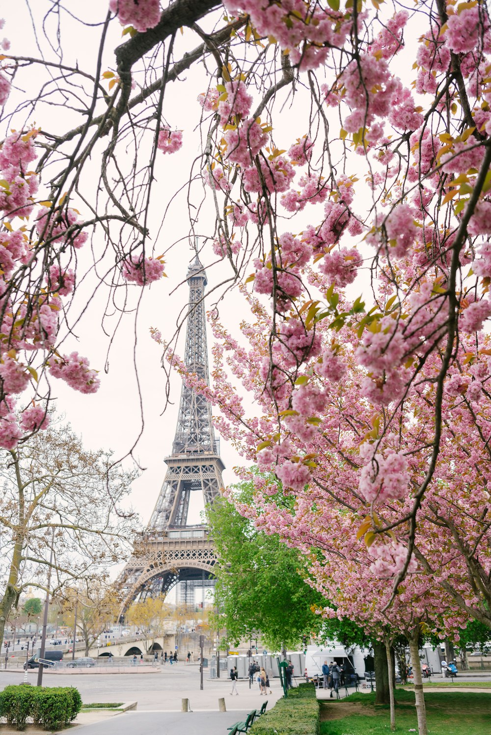 a view of the eiffel tower through the trees