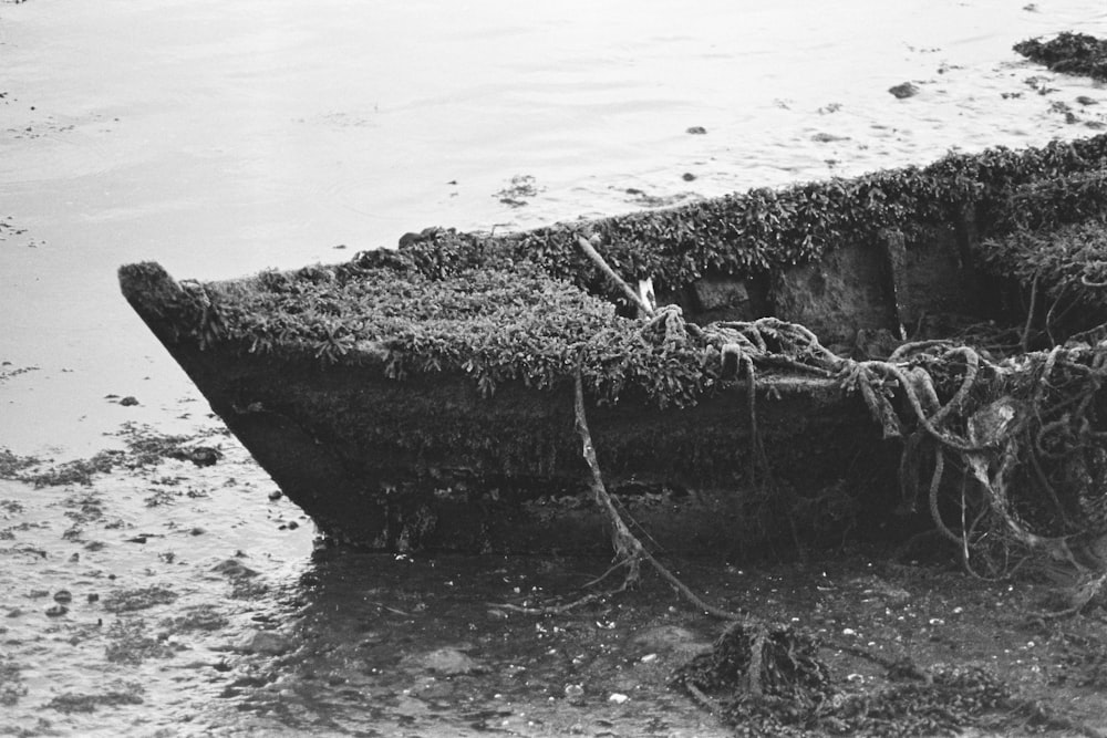 a boat that is sitting in the water