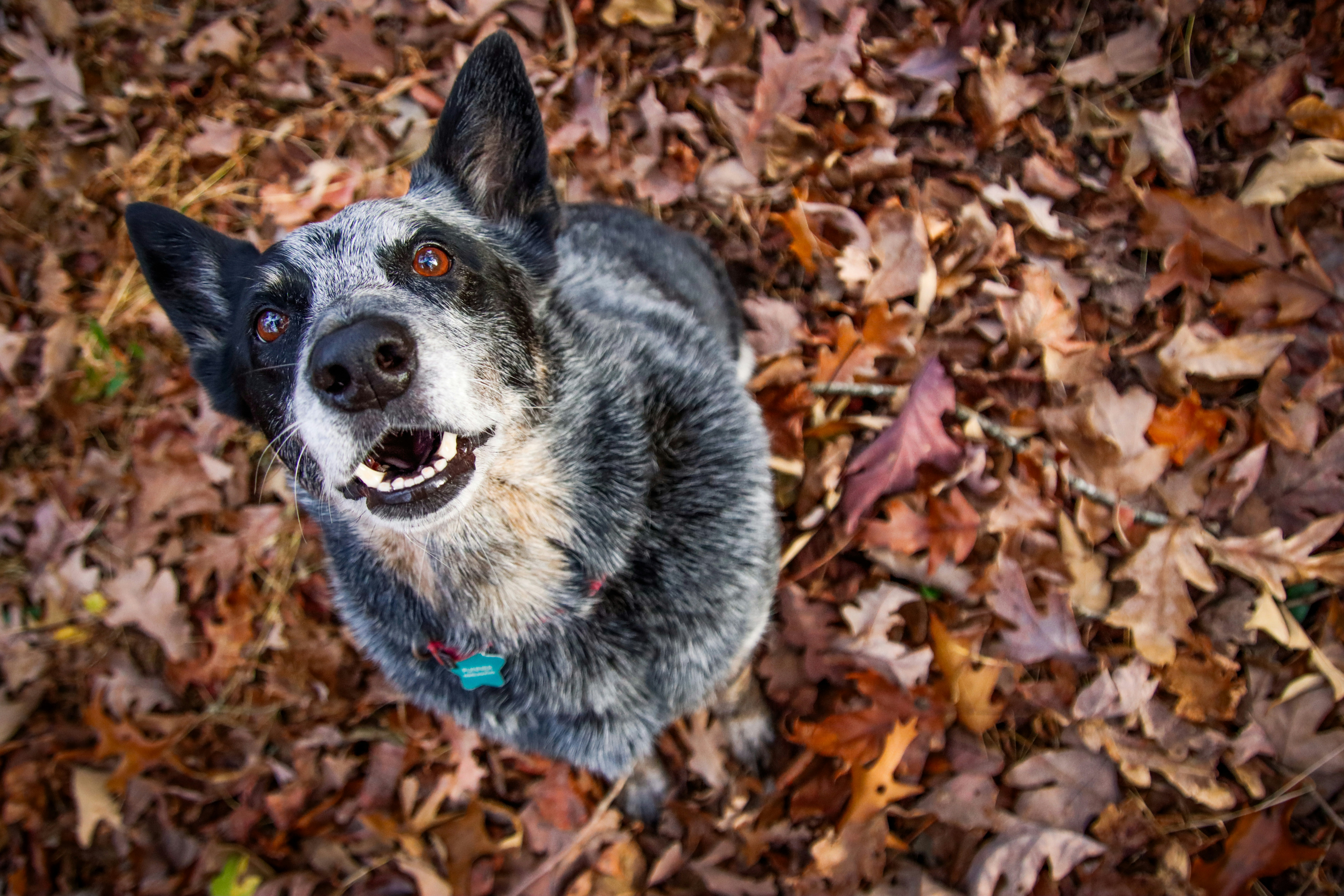 Photo by alla_kemelmakher