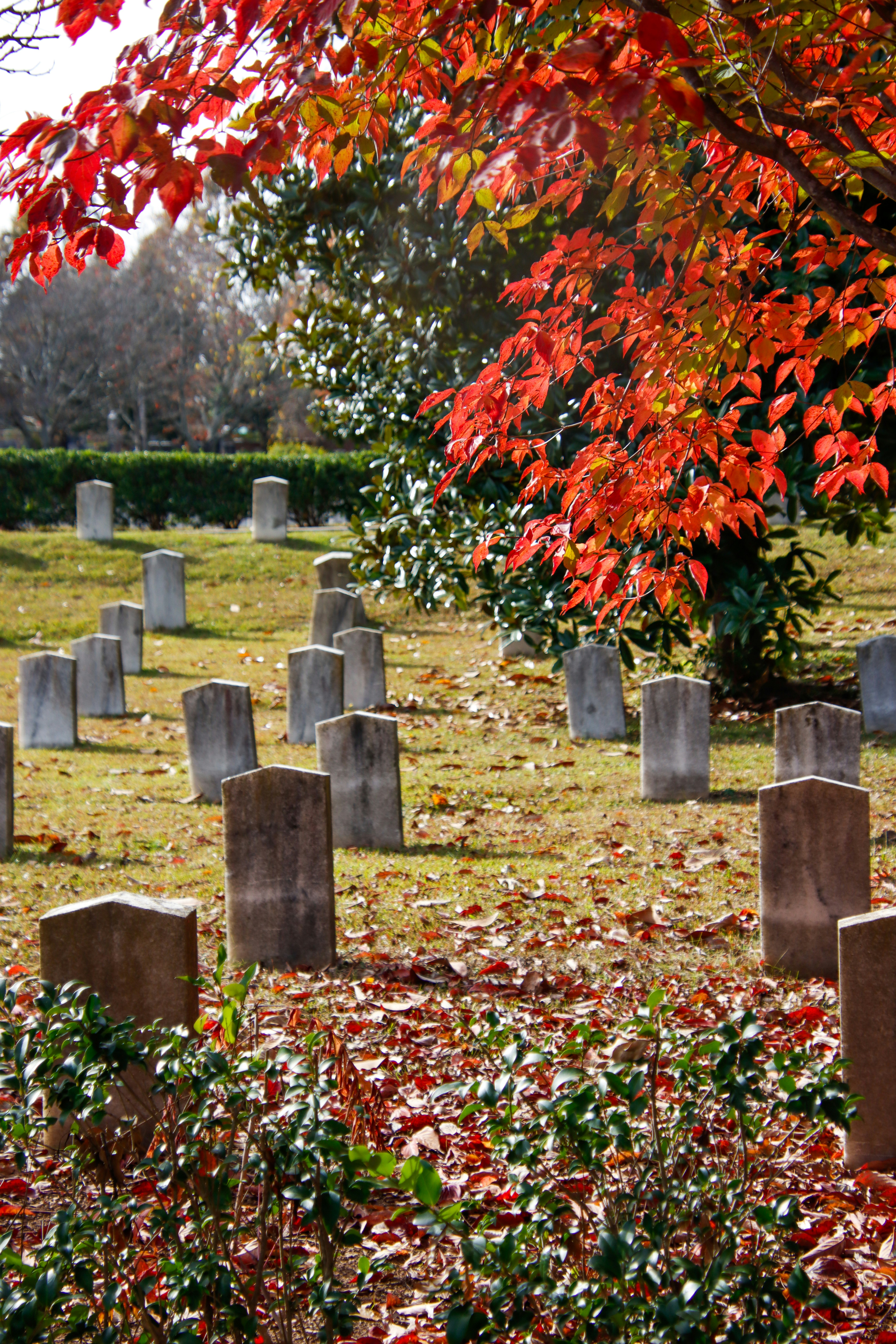 Photo by alla_kemelmakher