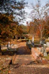a brick path leading to a cemetery with a clock tower in the background