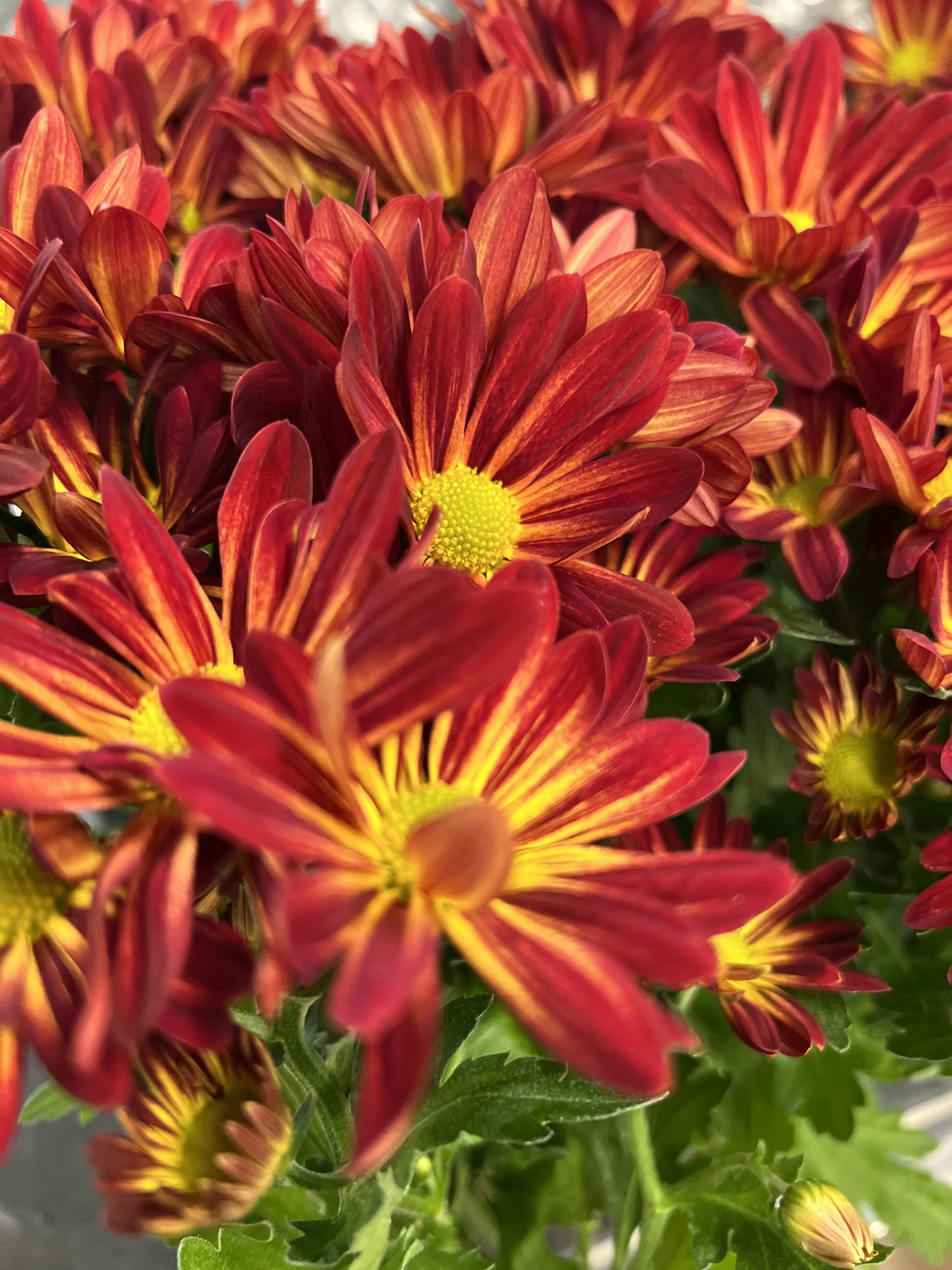 Photo by 007007muddasir