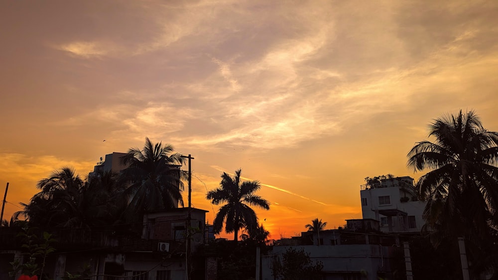 the sun is setting over a city with palm trees