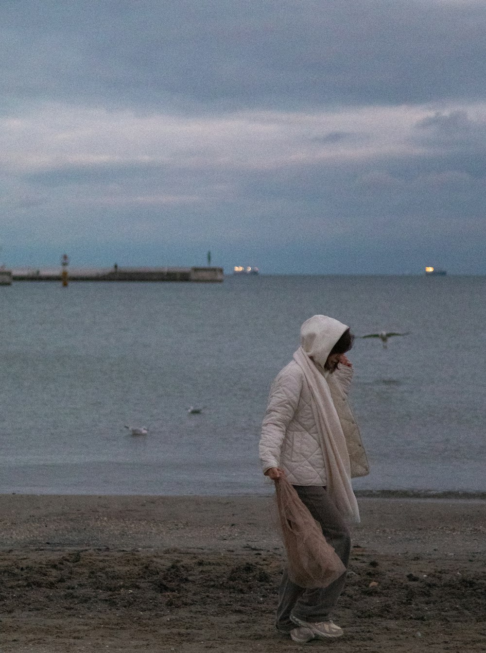 a person walking on a beach with a bag