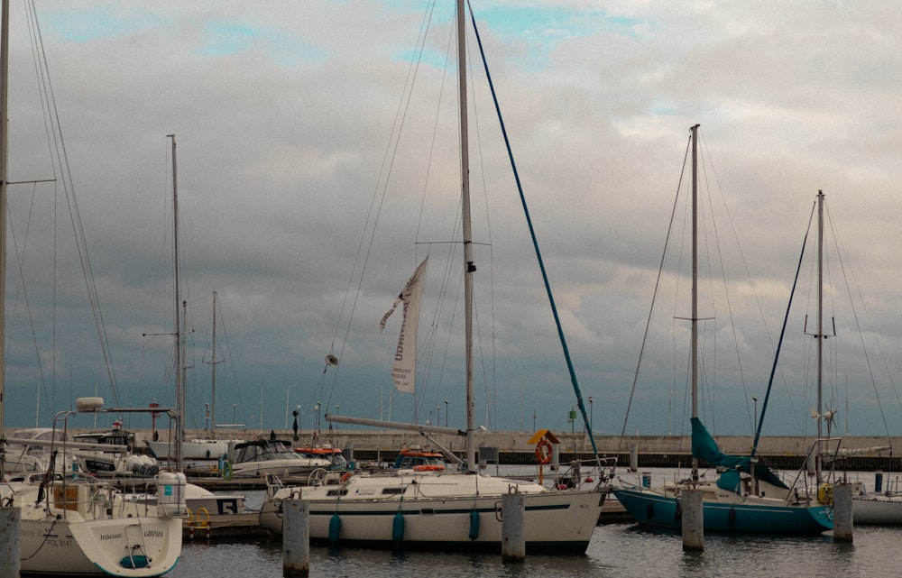 a group of sailboats docked in a harbor