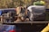 A collection of camping gear is loaded onto the back of a blue pickup truck. Among the items visible are backpacks, a pair of hiking boots, a water bottle, a cardboard box, and several sleeping bags. The gear is assorted in an organized manner, hinting at preparation for a camping trip.