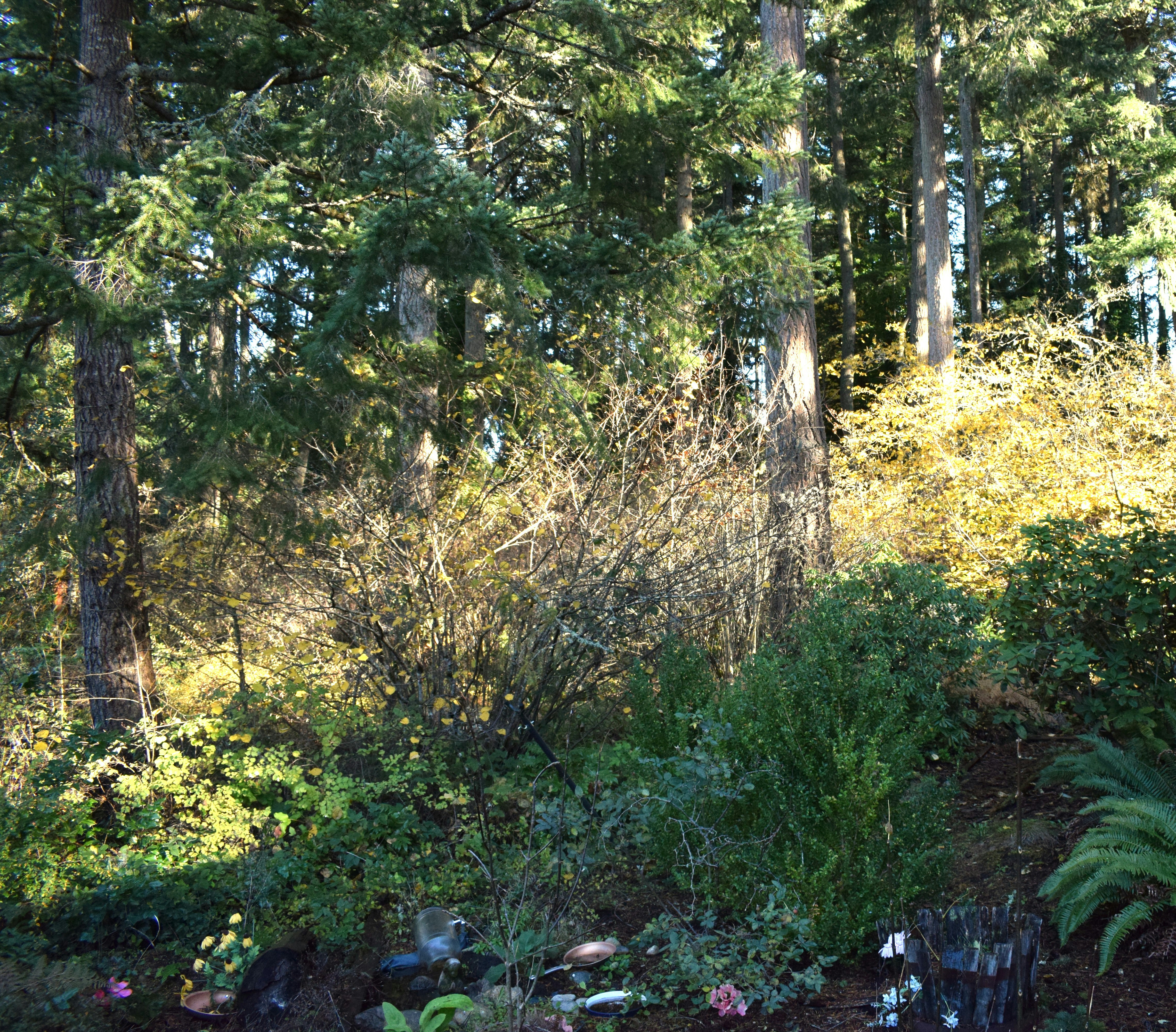 Photo by fr0ggy5_fr0ggy5