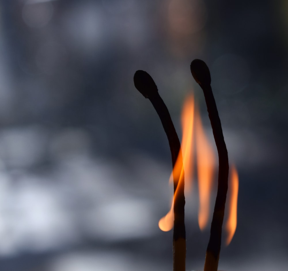 a close up of two sticks with fire in the background