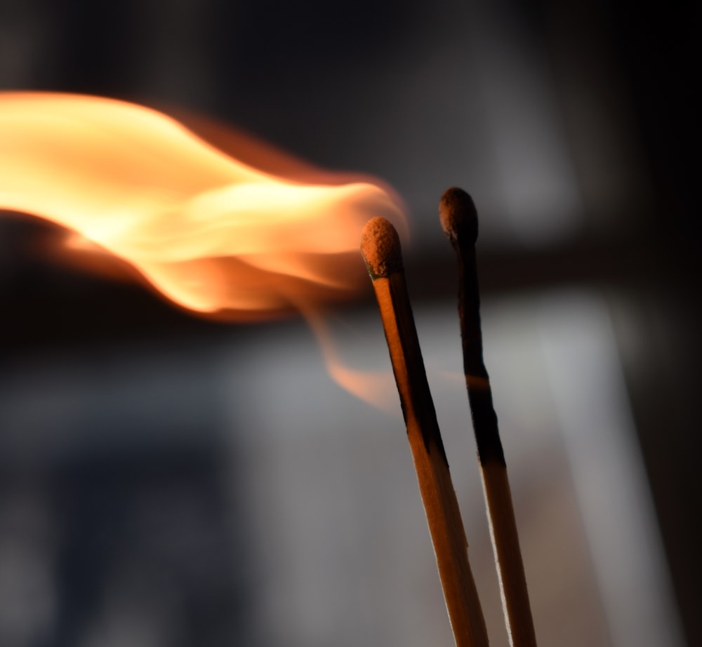 a close up of two matches with a blurry background