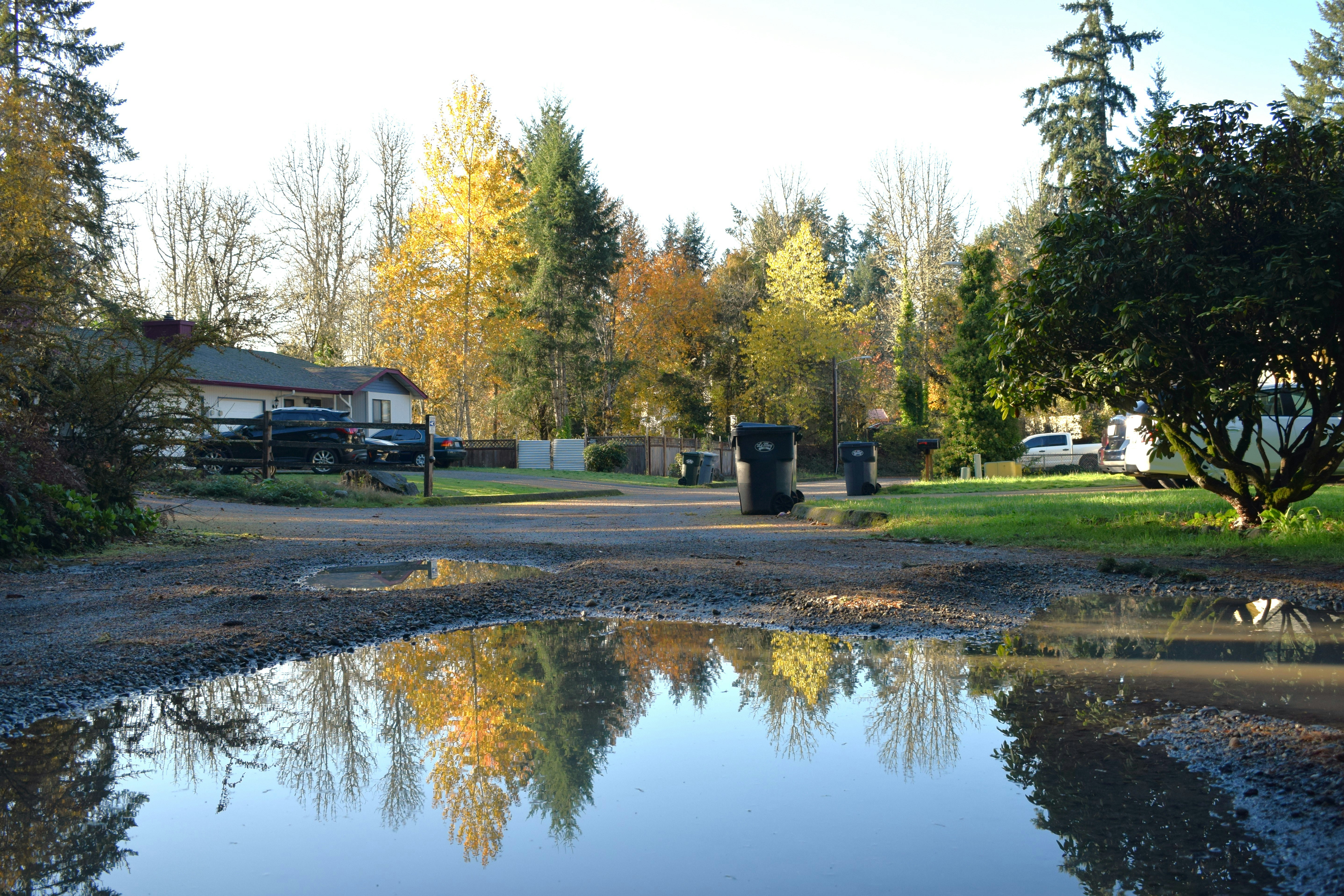 Photo by fr0ggy5_fr0ggy5