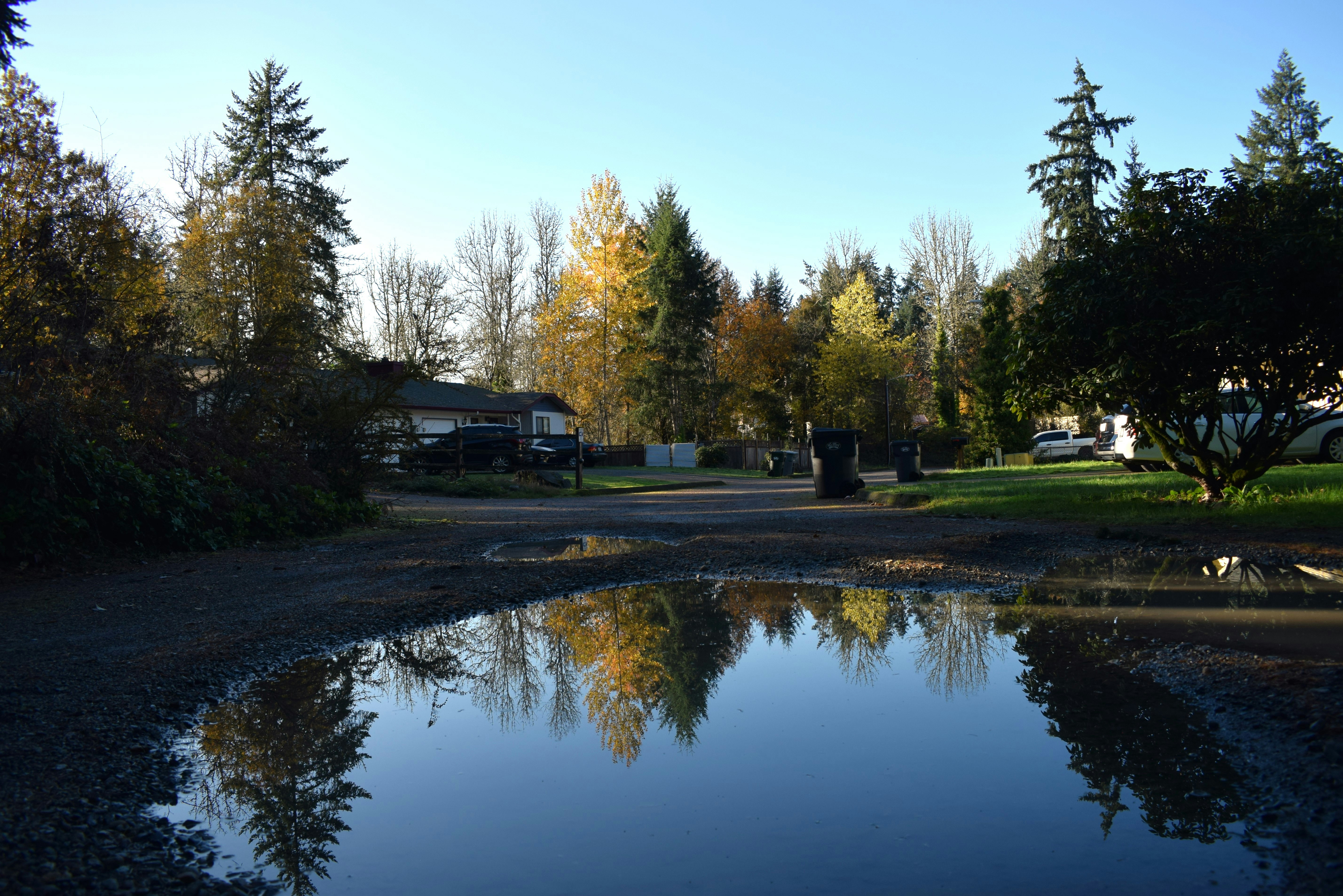 photo-1700004667394-4a23232dc381?ixid=M3wxMjA3fDB8MXxzZWFyY2h8MXx8YXNzaXN0ZWQlMjBsaXZpbmclMjBnb29zZSUyMGNyZWVrJTIwc2N8ZW58MHx8fHwxNzY3MTg4ODMyfDA\u0026ixlib=rb-4.1.0