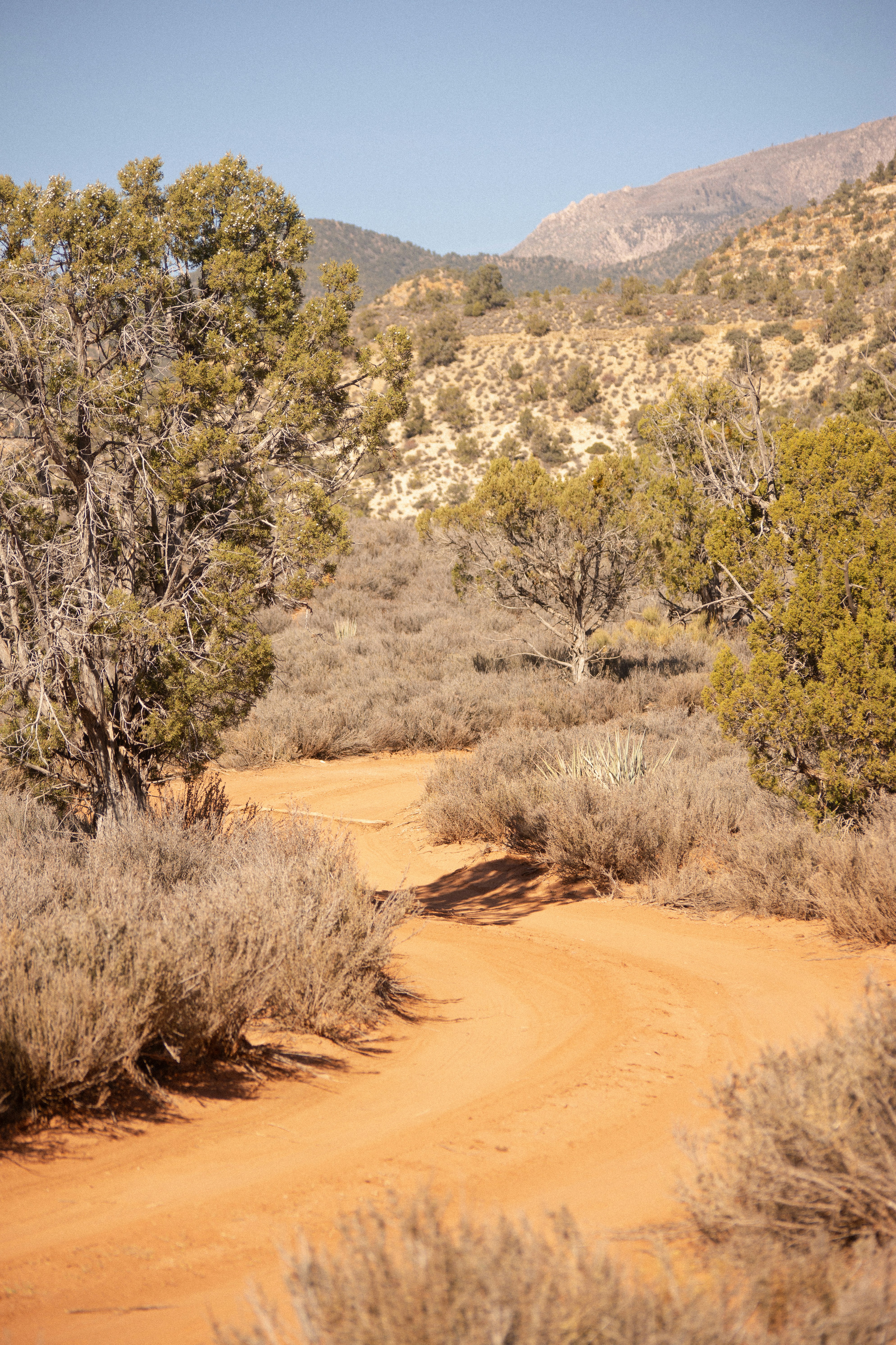 Photo by alexmoliski