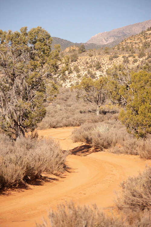 High desert near Dammeron Valley, Utah