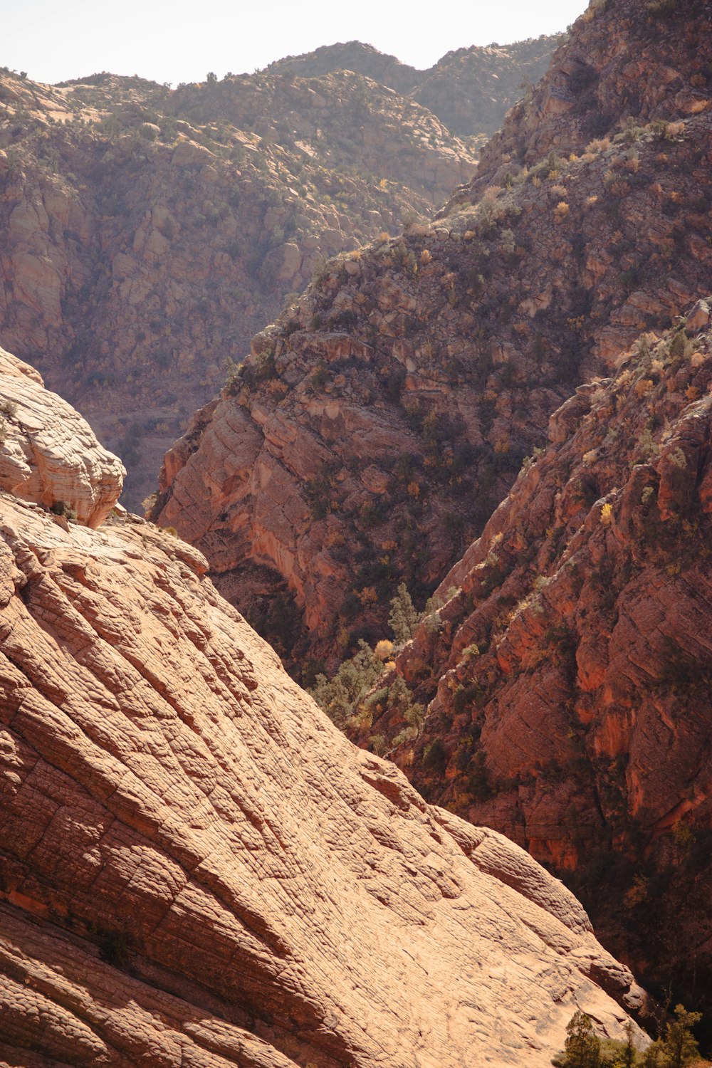 a person sitting on a rock in the mountains