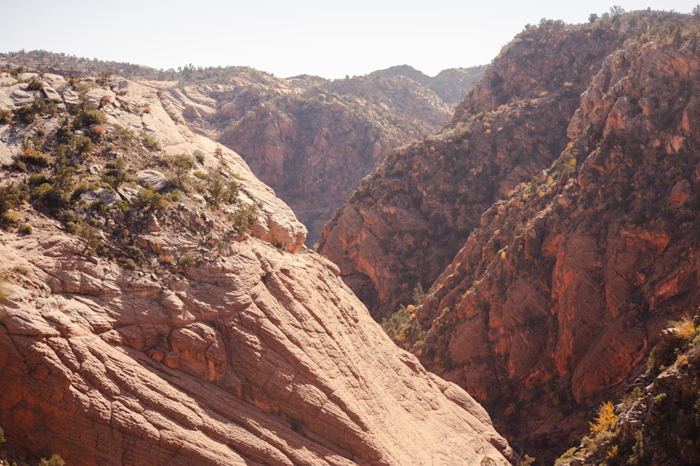 a view of a rocky mountain with trees growing on it