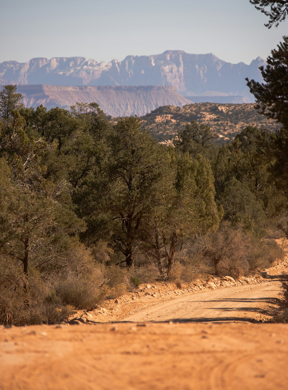 a dirt road surrounded by trees and mountains