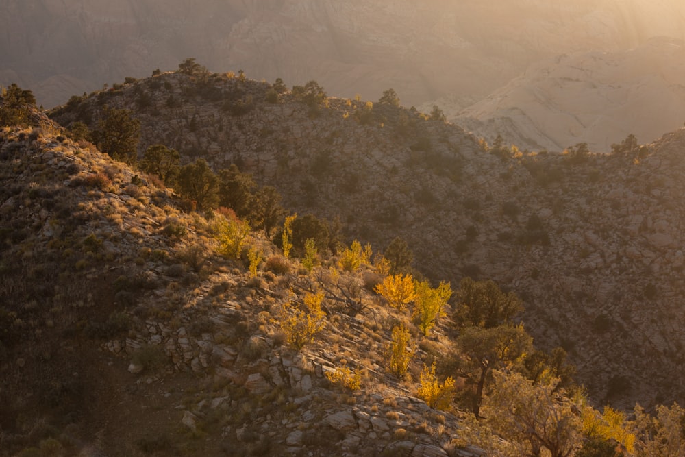 the sun shines on a rocky mountain side