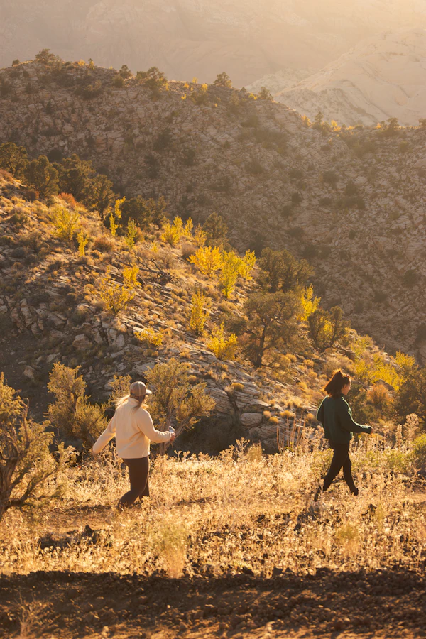 A couple walking together on an outdoor trail