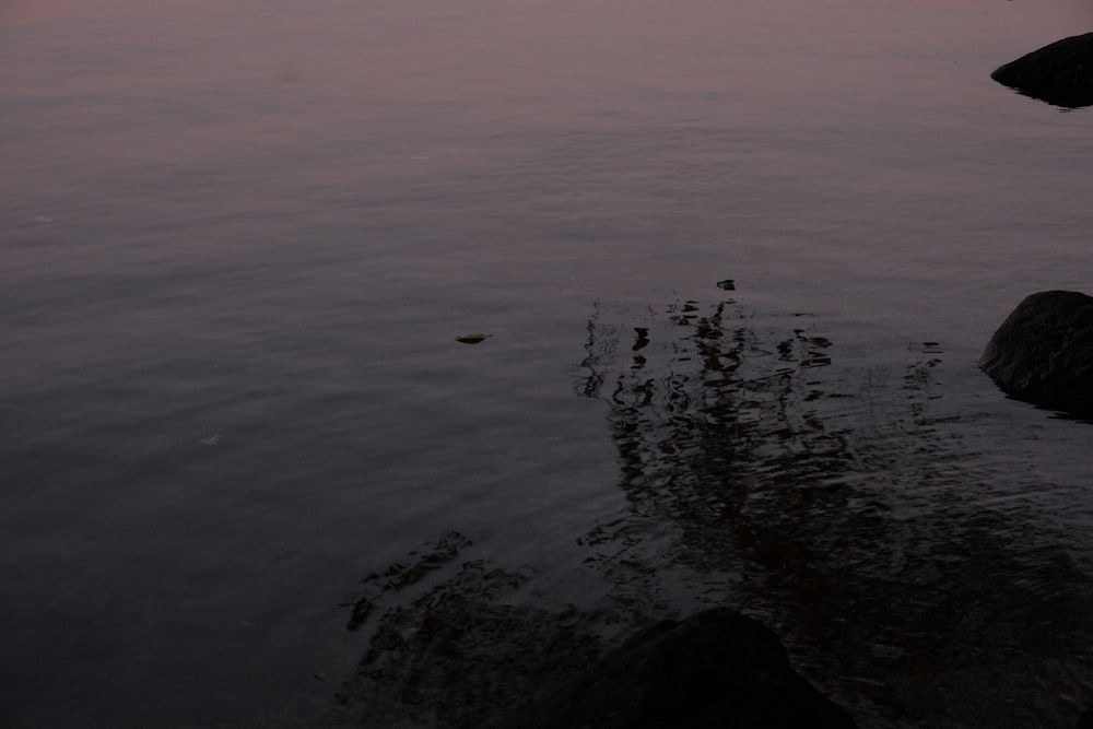 a body of water that has some rocks in it