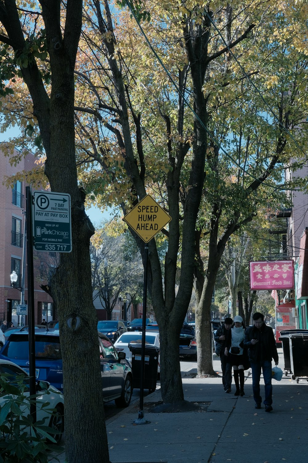 a group of people walking down a street next to a tree