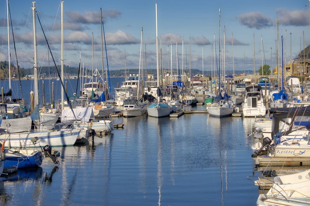 a harbor filled with lots of white boats