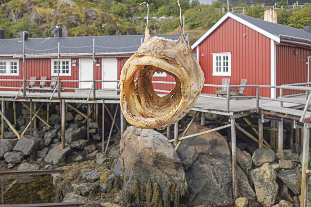 a large piece of wood hanging from a rope
