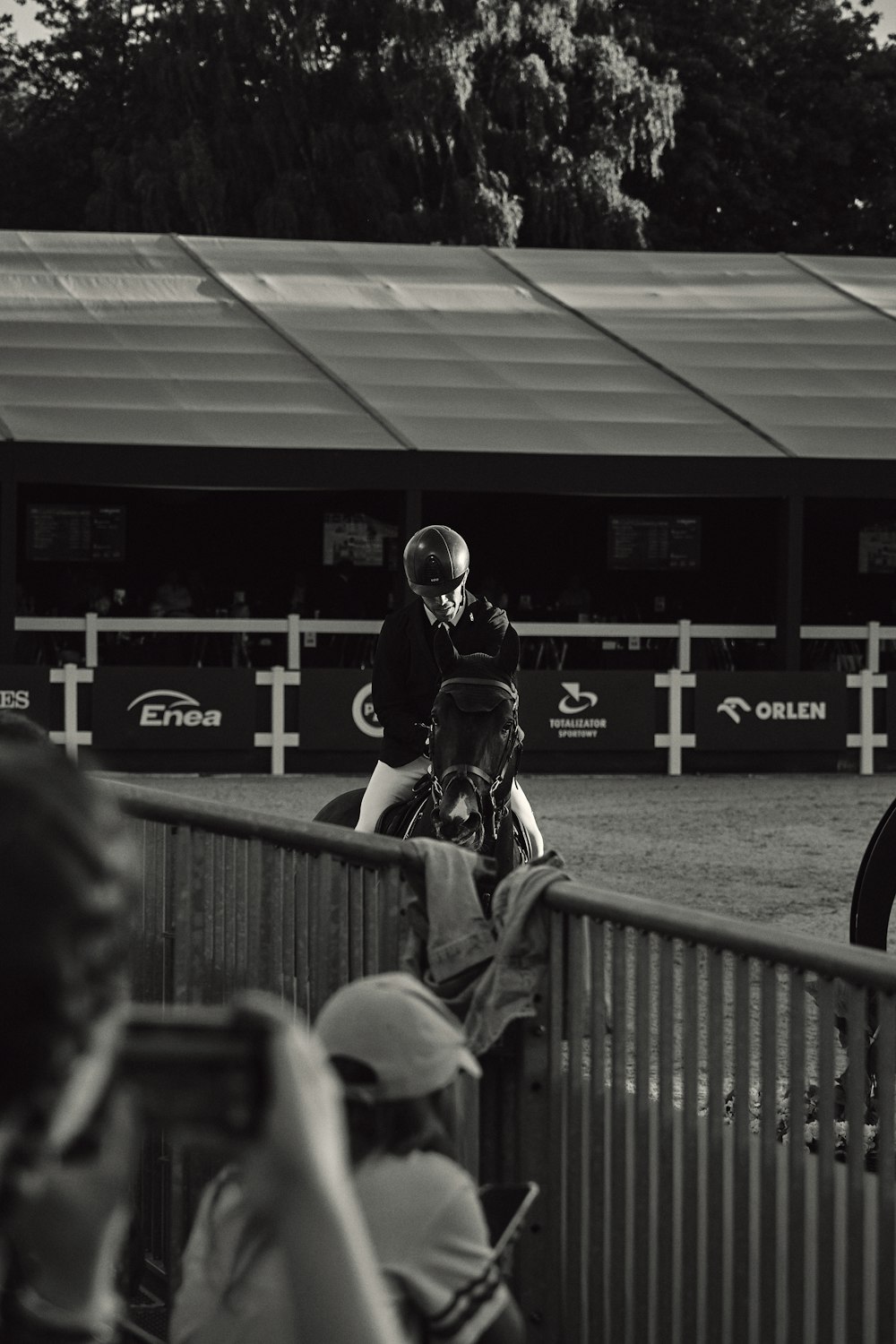 a group of people watching a horse race