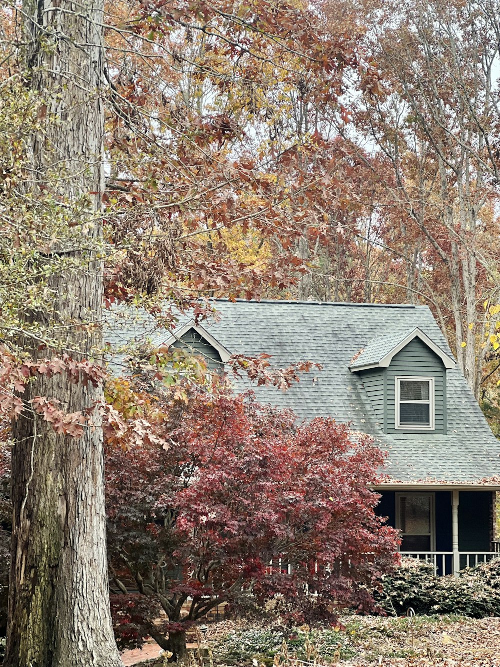 a house surrounded by trees in the fall