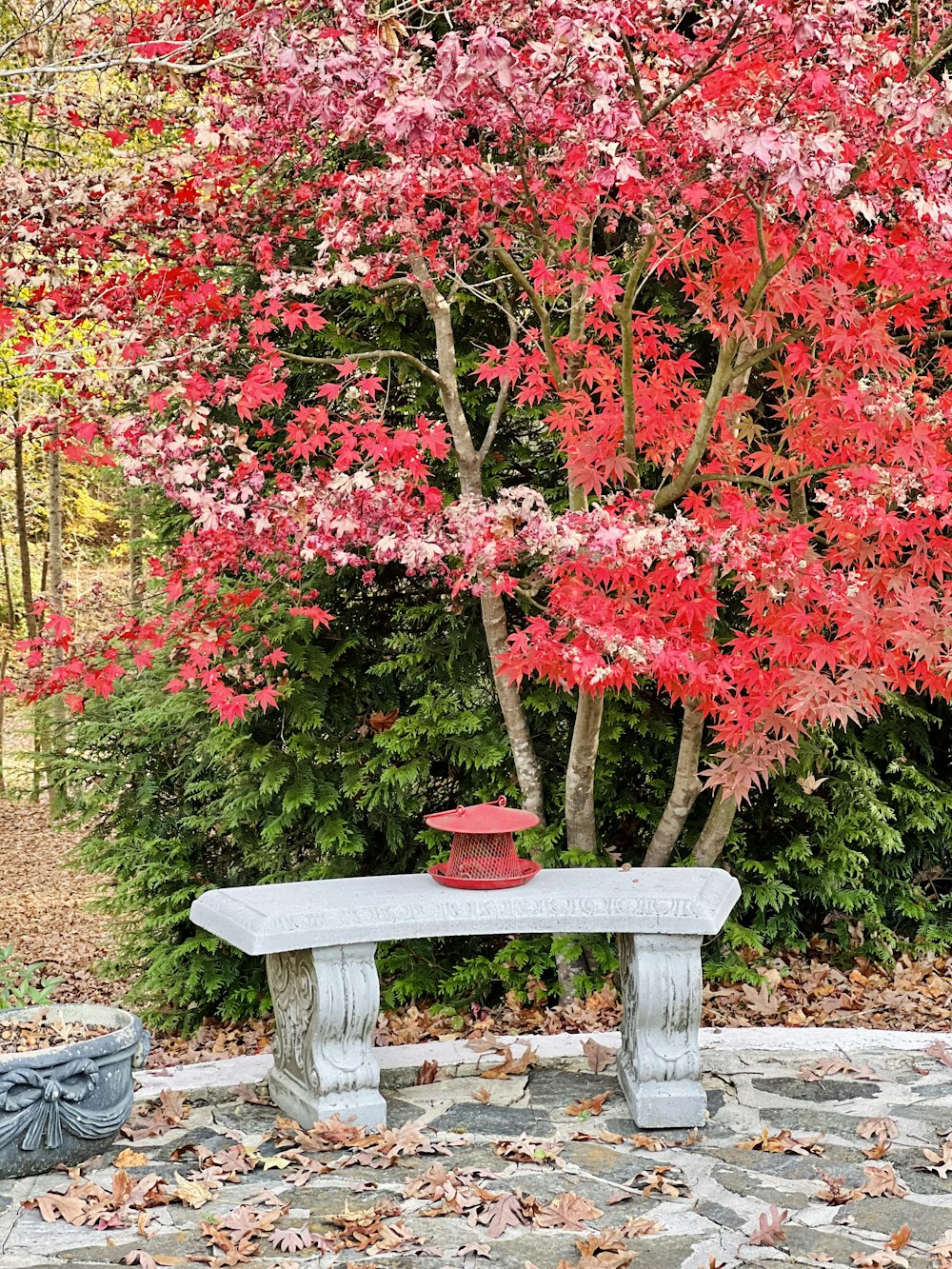 a stone bench sitting in front of a tree