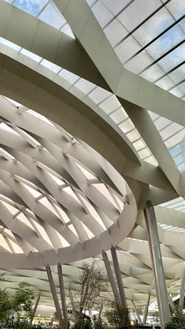 Geometric and modern architectural structure with large, curving metallic beams and a glass ceiling allowing natural light to fill the space. Indoor greenery adds a touch of nature amidst the sleek design. The perspective emphasizes the ceiling&rsquo;s intricate pattern and structural complexity.