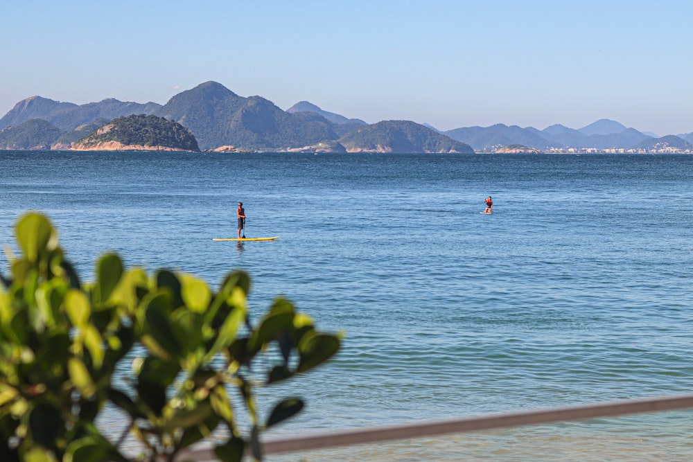 a couple of people standing on surfboards in the ocean