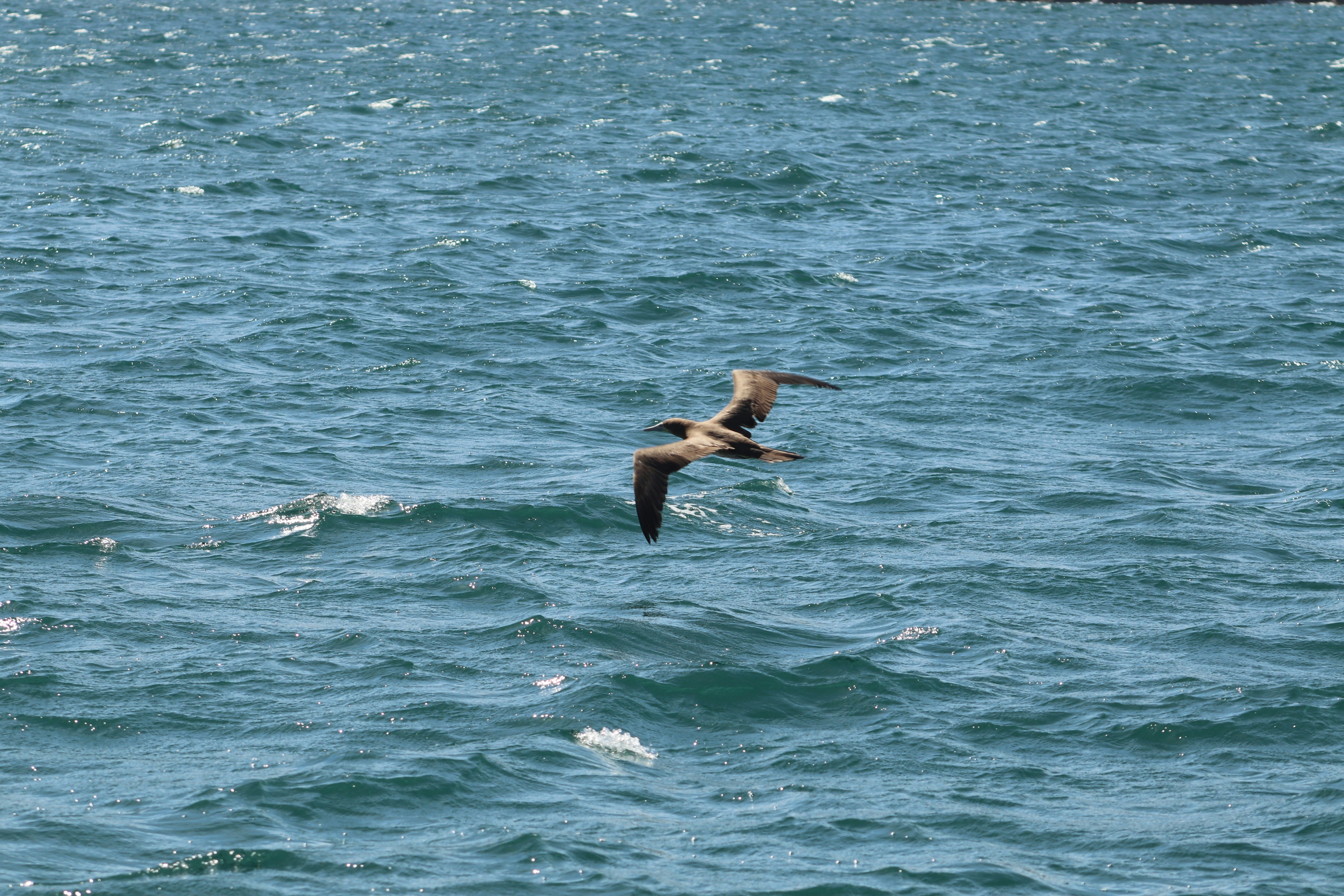 Photo by ribeiro__jean