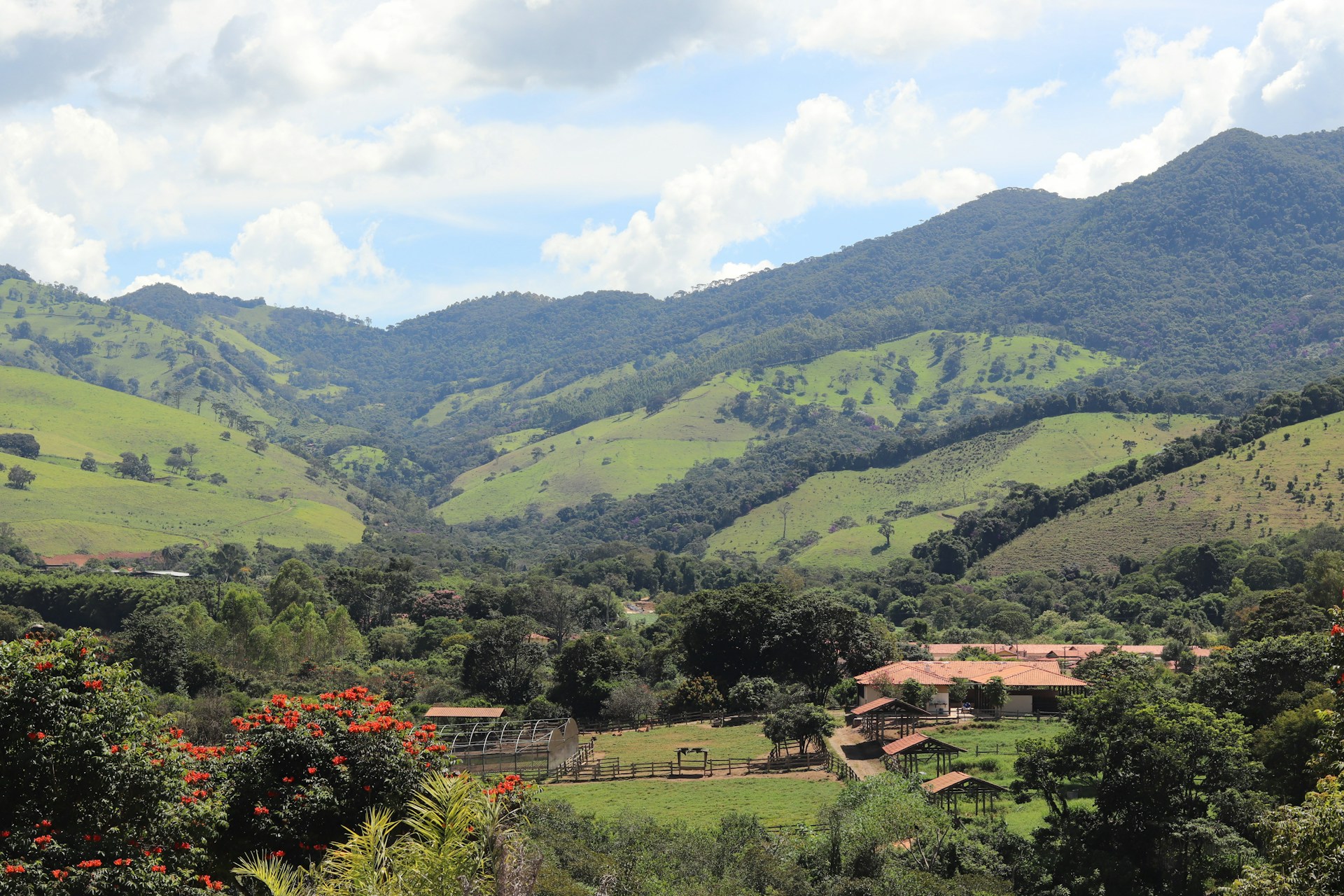 a lush green hillside with a house in the middle