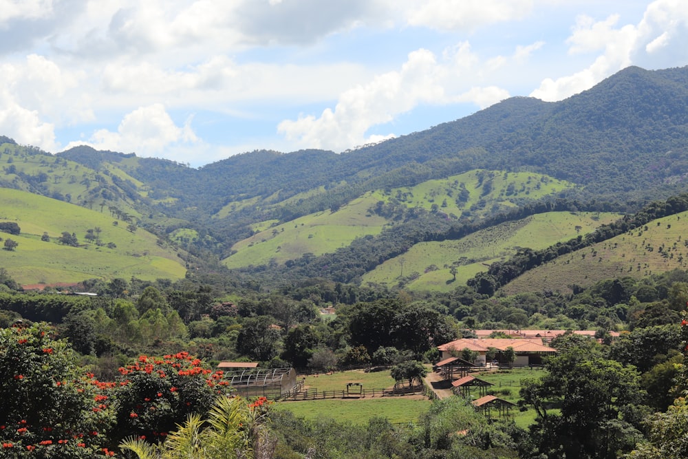 a lush green hillside with a house in the middle